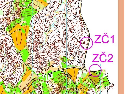 Zelena čistka 2016. - Vrbica